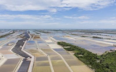 Energies renouvelables : 5 solutions innovantes en zone dense