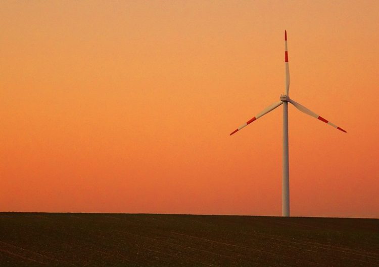 Éoliennes, le vent de la discorde écologique