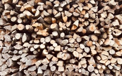 Faut-il développer les bioénergies ?