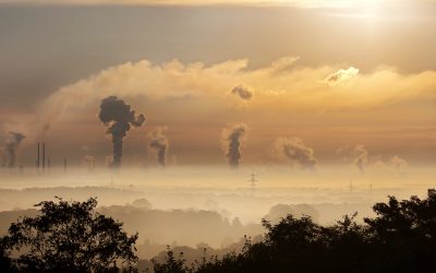 Neutralité carbone : « les produits zéro émission restent un non-sens scientifique »