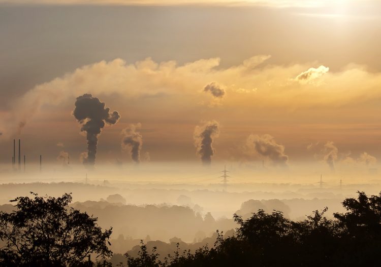Neutralité carbone : « les produits zéro émission restent un non-sens scientifique »