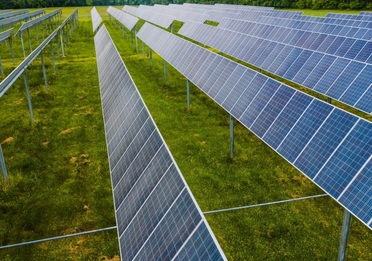 « Face à la hausse du coût des matières premières, le gouvernement doit soutenir la filière photovoltaïque »