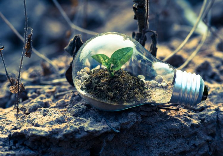 Sobriété énergétique : et si décarboner rimait avec compétitivité ?