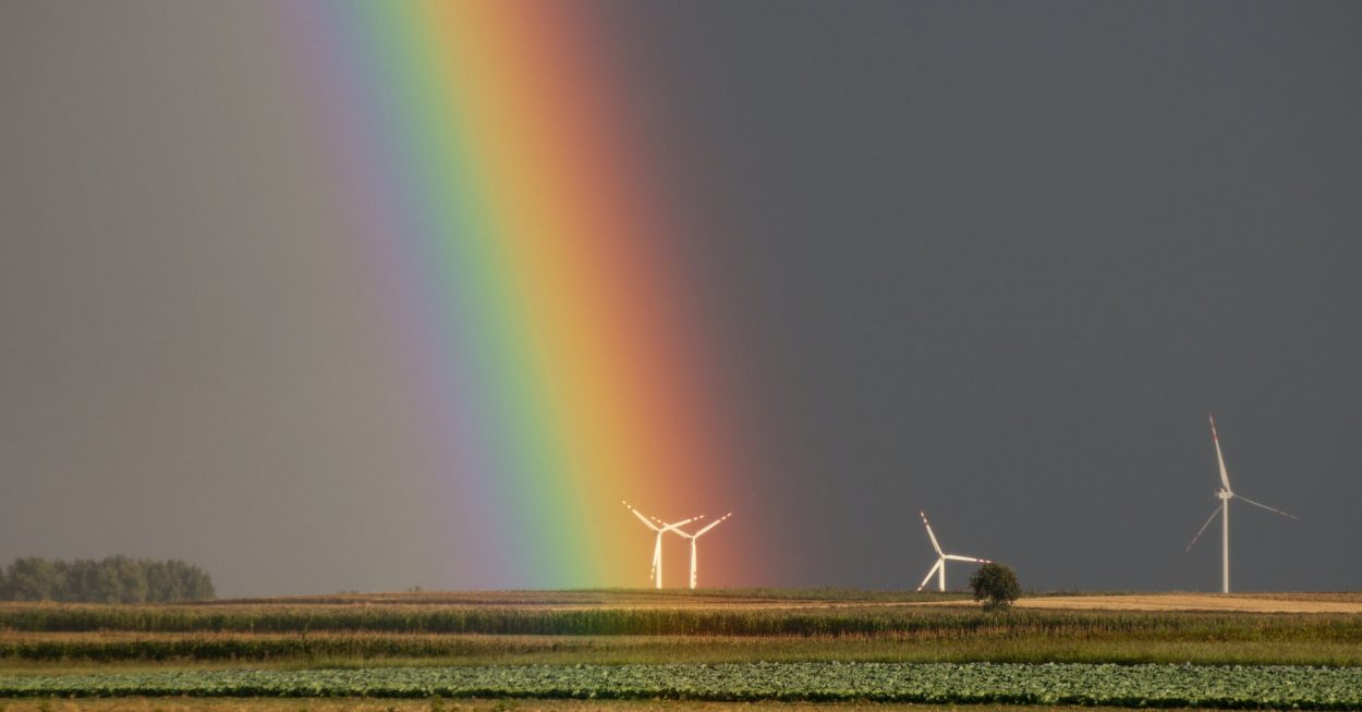 Le gouvernement devrait « maintenir un discours constant et clair sur l’éolien, sans démagogie »