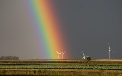 Le gouvernement devrait « maintenir un discours constant et clair sur l’éolien, sans démagogie »