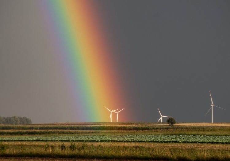 Le gouvernement devrait « maintenir un discours constant et clair sur l’éolien, sans démagogie »