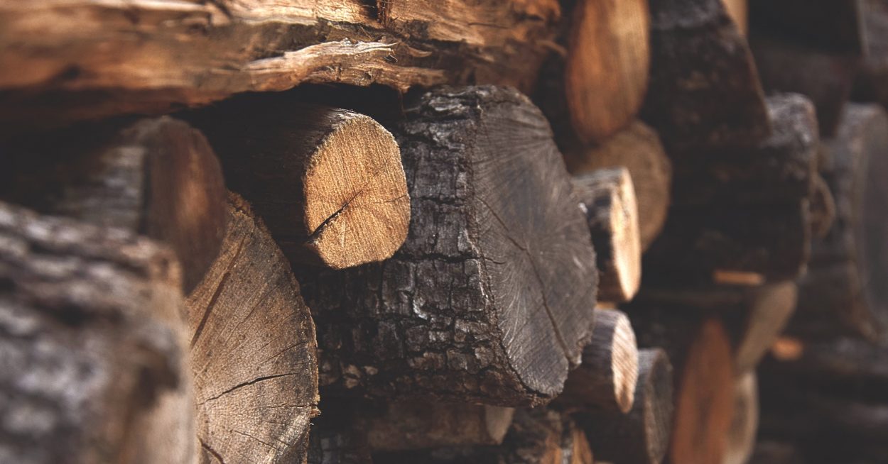 « La récolte de bois-énergie en France ne pourrait en aucun cas aboutir à une sur-exploitation »