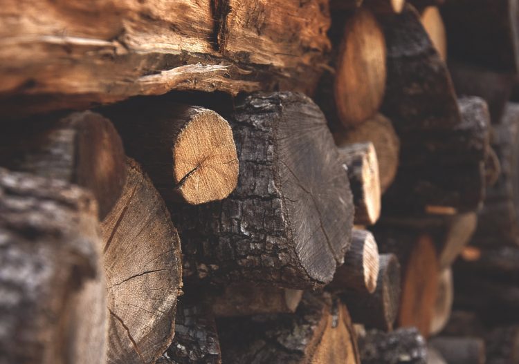 « La récolte de bois-énergie en France ne pourrait en aucun cas aboutir à une sur-exploitation »