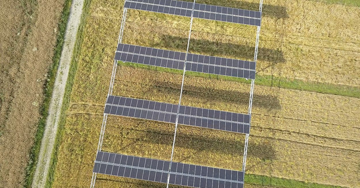 Agrivoltaïsme : des évolutions bienvenues quant à la réglementation et la caractérisation des projets