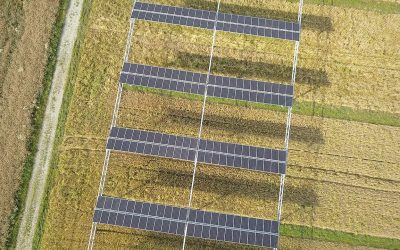 Agrivoltaïsme : des évolutions bienvenues quant à la réglementation et la caractérisation des projets