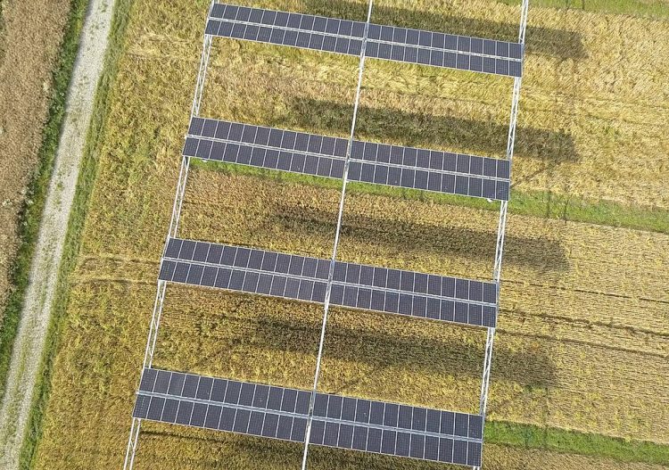 Agrivoltaïsme : des évolutions bienvenues quant à la réglementation et la caractérisation des projets