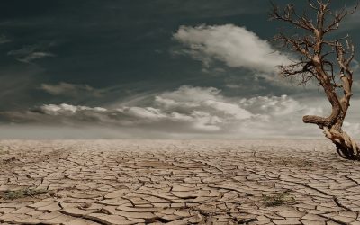 Une catastrophe climatique peut-elle encore être évitée au niveau planétaire ?