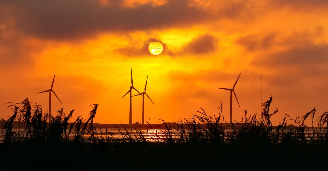 En France, « les projets EnR existent, les files d’attente sont pleines »