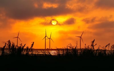 En France, « les projets EnR existent, les files d’attente sont pleines »