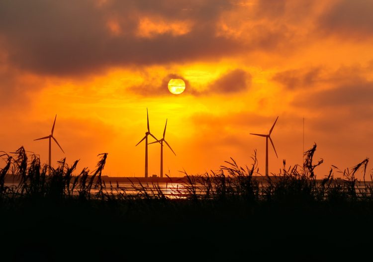 En France, « les projets EnR existent, les files d’attente sont pleines »