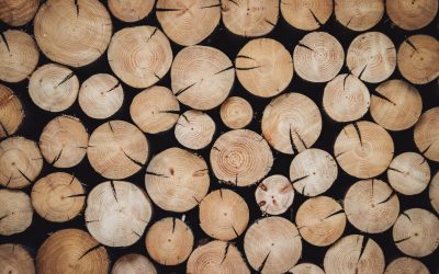 Crise de l’énergie : ces communes qui misent sur le bois-énergie