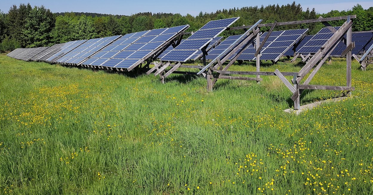 « L’agrivoltaïsme est favorable en présence d’aléas climatiques »