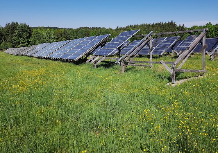 « L’agrivoltaïsme est favorable en présence d’aléas climatiques »