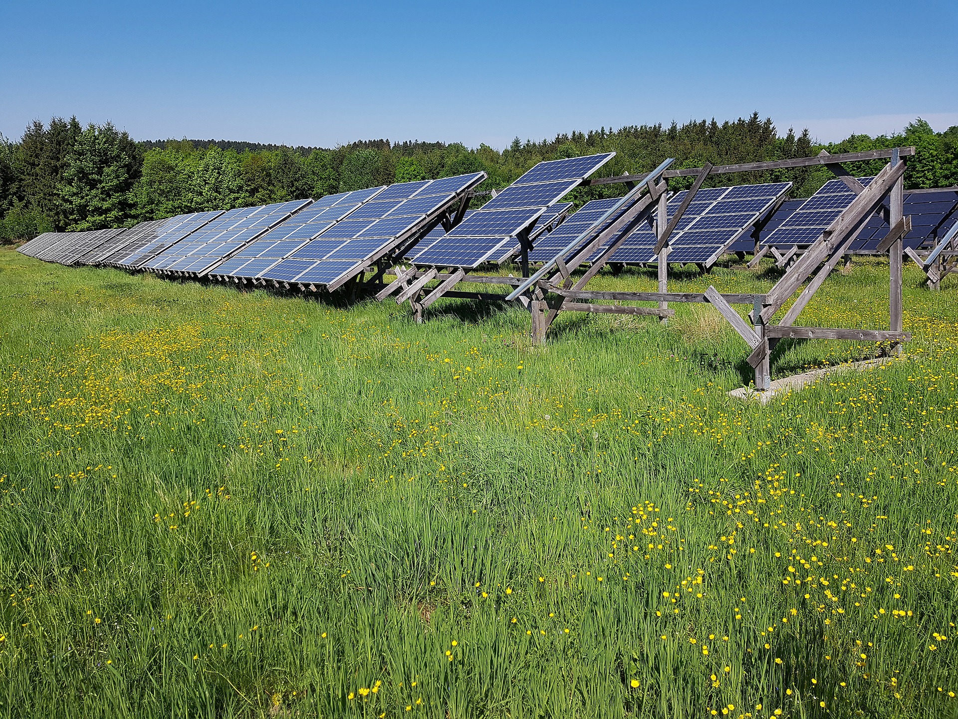 agrivoltaisme est favorable presence aleas climatiques - Le Monde de l'Energie