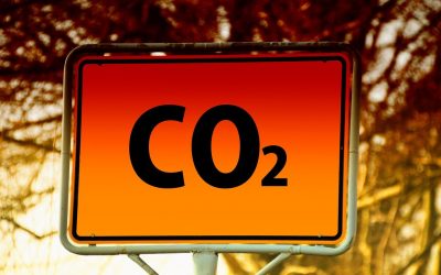 Comment « redonner une valeur croissante et équitable au carbone » ?