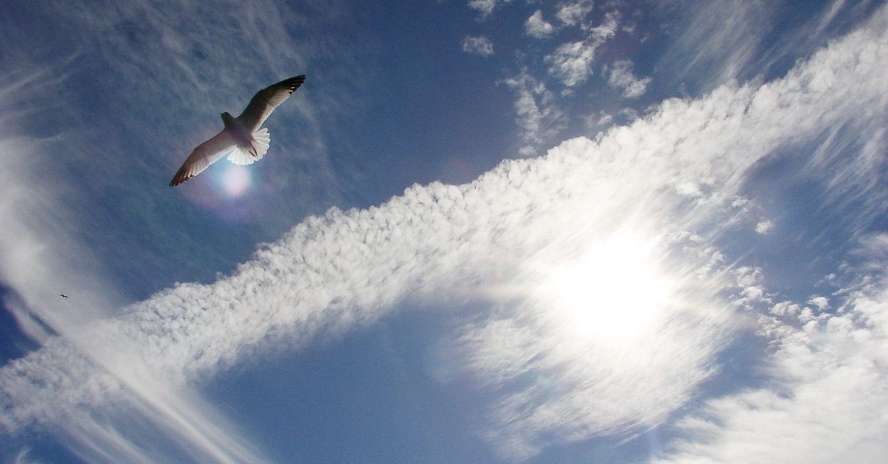 Des premiers vols commerciaux d&rsquo;avions à hydrogène « dès 2026 » ?