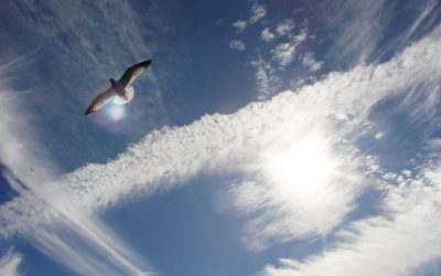 Des premiers vols commerciaux d&rsquo;avions à hydrogène « dès 2026 » ?