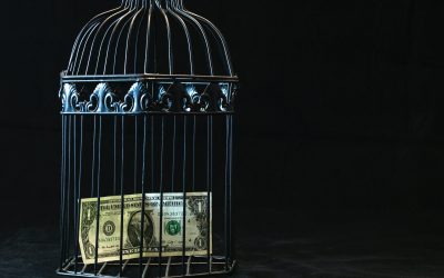 « La finance mondiale ne s&rsquo;est pas adaptée pour répondre à l’urgence climatique »