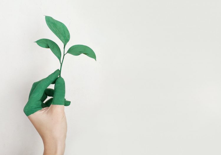 Renouvelables : « la chaleur et les carburants sont à la traîne »