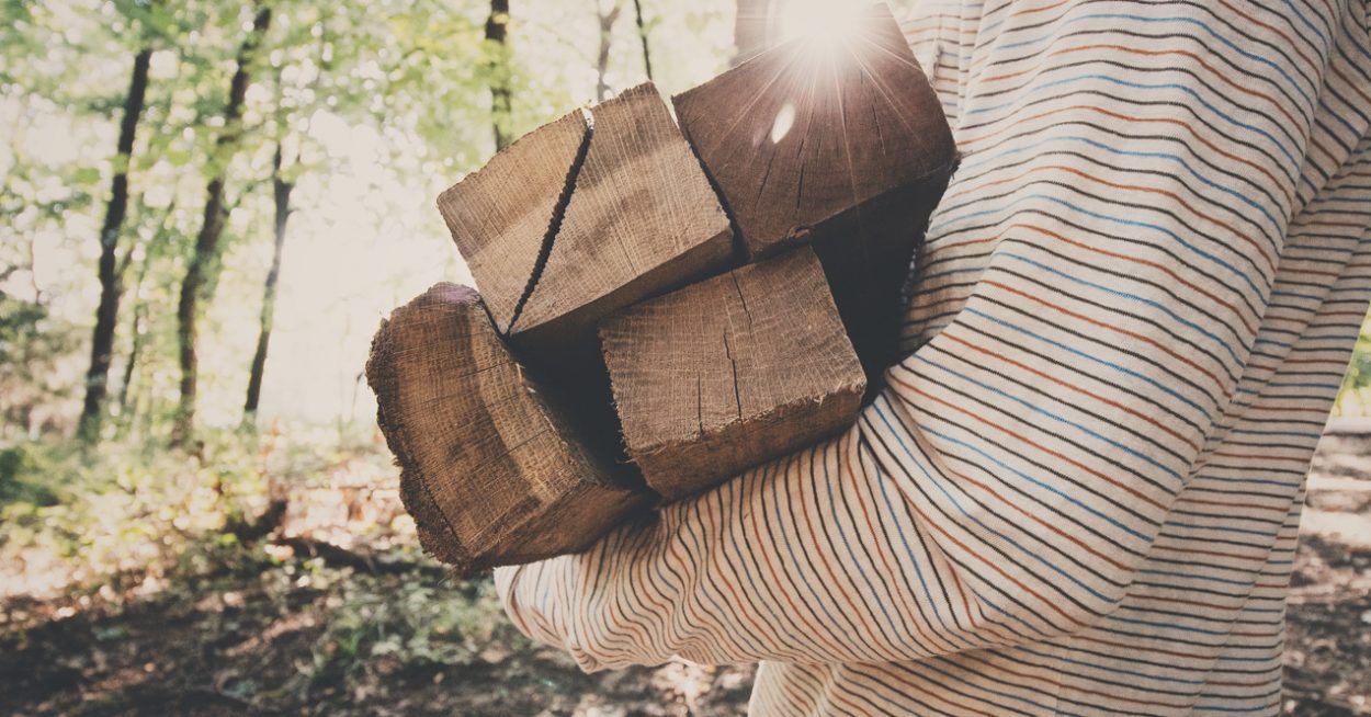 Bois énergie : cette année encore, les Français reviennent au bois