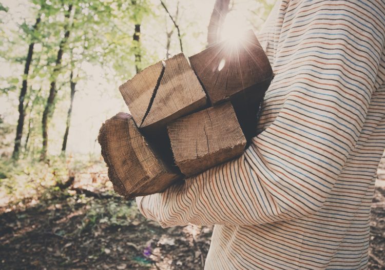 Bois énergie : cette année encore, les Français reviennent au bois