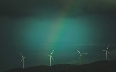 L’opinion, bataille inachevée des énergies renouvelables