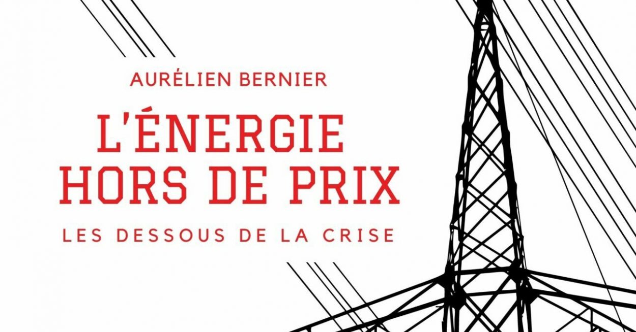 « Dès que l’on introduit la concurrence, les prix de l’électricité ne reflètent plus le coût moyen »