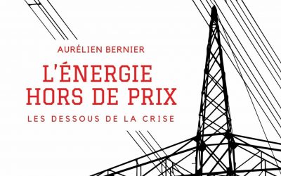 « Dès que l’on introduit la concurrence, les prix de l’électricité ne reflètent plus le coût moyen »