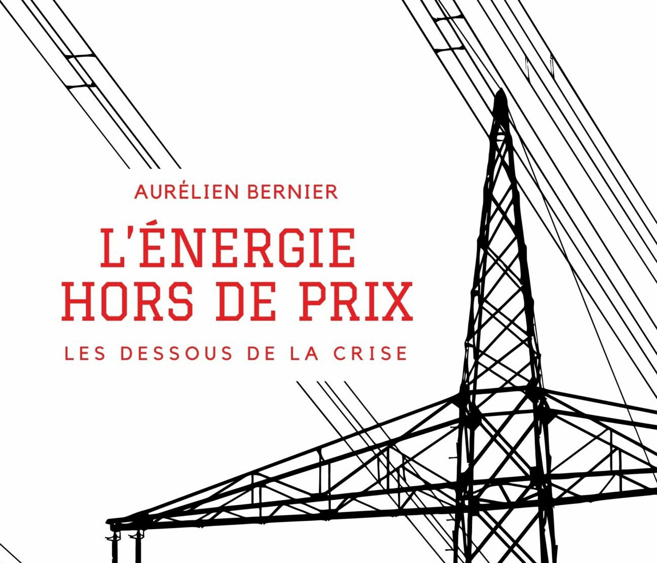 Prix de l'électricité : On gaspille en moyenne 300 euros par an, explique  le directeur marketing d'Ecojoko - France Bleu