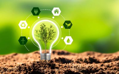 Planification de la transition énergétique : « les leviers sont cohérents »