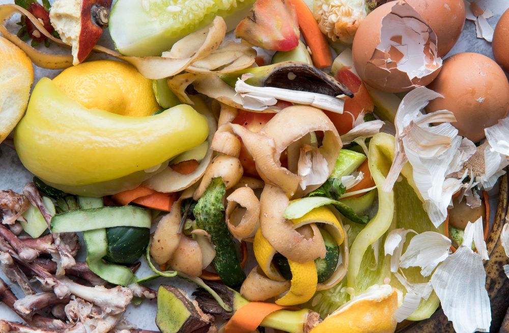 Biodéchets : de l’assiette à la chaudière