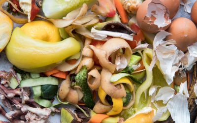 Biodéchets : de l’assiette à la chaudière