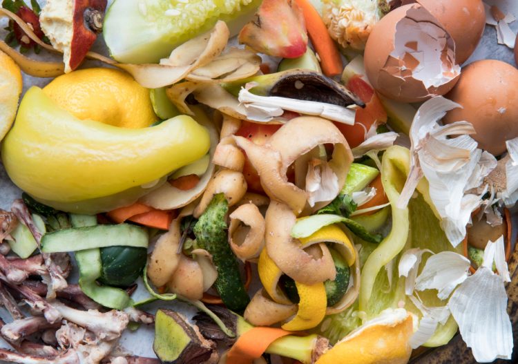 Biodéchets : de l’assiette à la chaudière