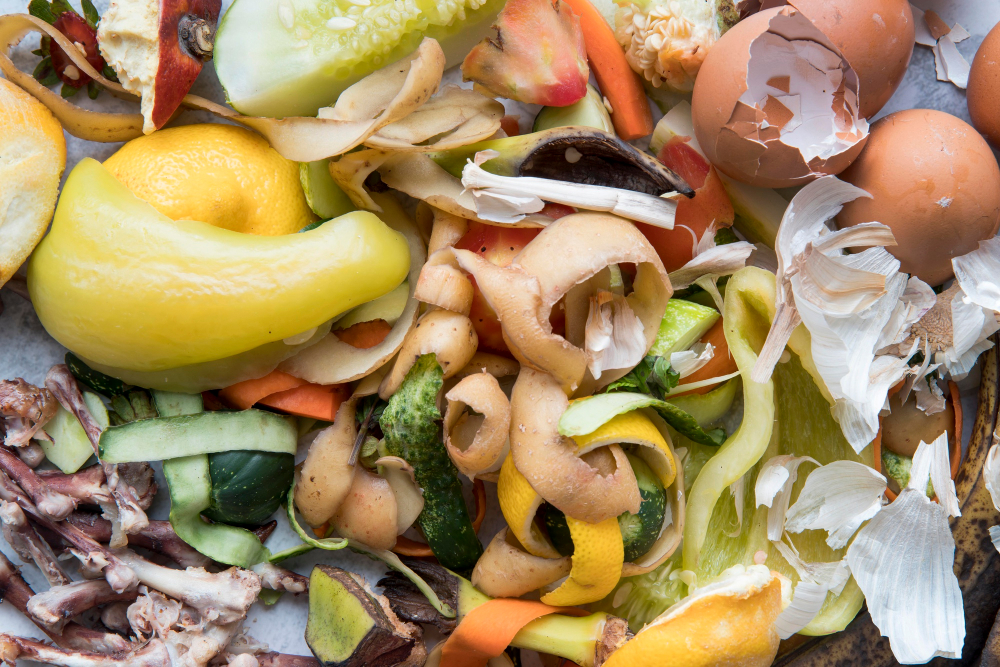 biodechets assiette chaudiere - Le Monde de l'Energie