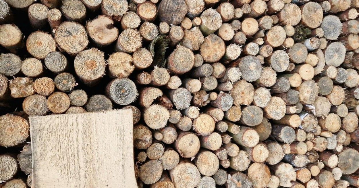 Bois énergie : une filière en amélioration continue pour les Français et l’environnement