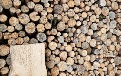 Bois énergie : une filière en amélioration continue pour les Français et l’environnement