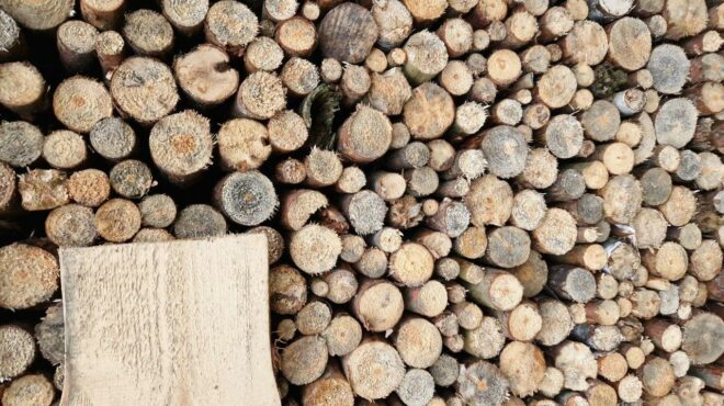 bois energie filiere en amelioration continue pour francais environnement - Le Monde de l'Energie