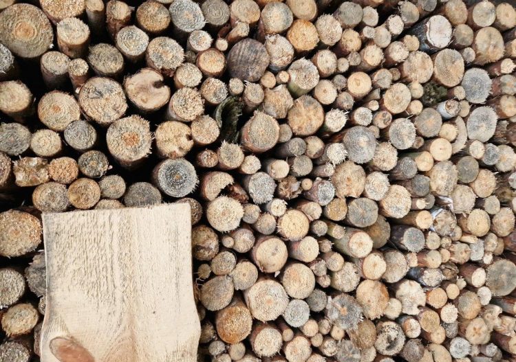 Bois énergie : une filière en amélioration continue pour les Français et l’environnement