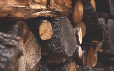 Le bois énergie reste un pilier de la chaleur renouvelable dans la PPE