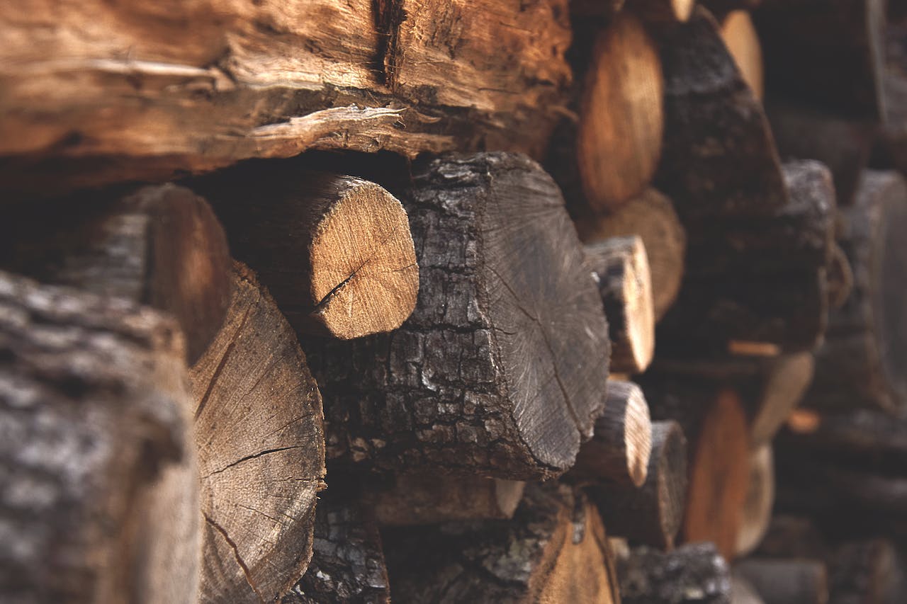 bois energie reste pilier chaleur renouvelable dans ppe - Le Monde de l'Energie