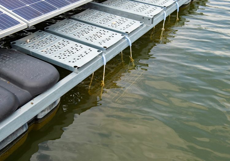 « Le photovoltaïque flottant valorise des sites anthropisés »