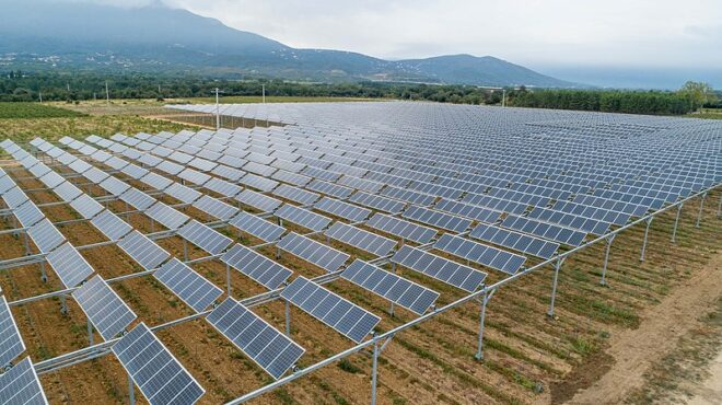 agrivoltaisme peut rendre agriculture plus resiliente face changement climatique - Le Monde de l'Energie