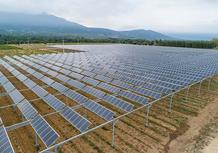 « L’agrivoltaïsme peut rendre l’agriculture plus résiliente face au changement climatique »
