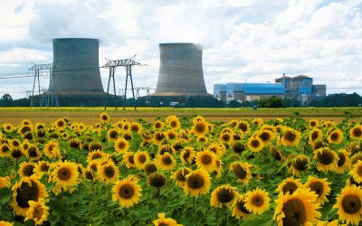 Fusion ASN-IRSN : « garder une séparation entre expertise et décision »