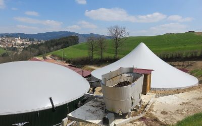« Le marché du biométhane en France se distingue par sa croissance rapide »